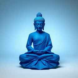 The Buddha The Buddha sitting in contemplation.